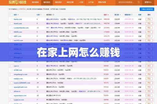 在家上网怎么赚钱