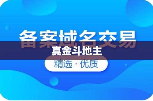 真金斗地主