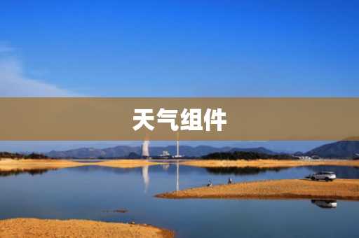 天气组件