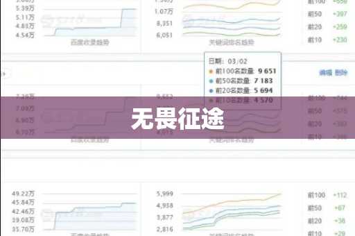 无畏征途