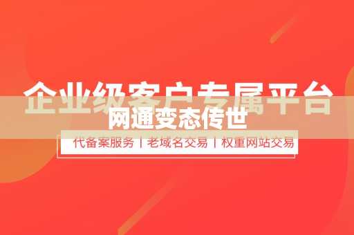 网通变态传世