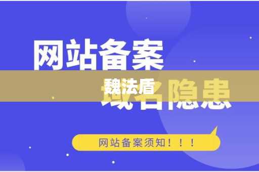 魏法盾