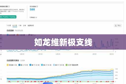 如龙维新极支线
