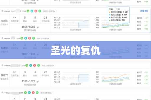 圣光的复仇