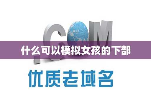 什么可以模拟女孩的下部
