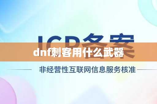 dnf刺客用什么武器