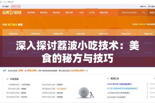 深入探讨荔波小吃技术：美食的秘方与技巧