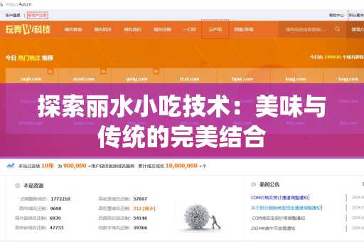 探索丽水小吃技术：美味与传统的完美结合