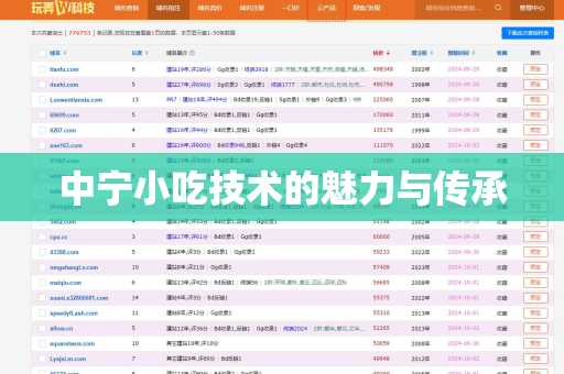 中宁小吃技术的魅力与传承