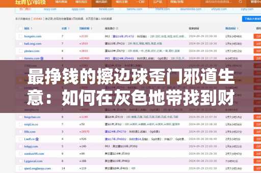 最挣钱的擦边球歪门邪道生意：如何在灰色地带找到财富之道？