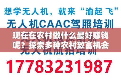 现在在农村做什么最好赚钱呢？探索多种农村致富机会