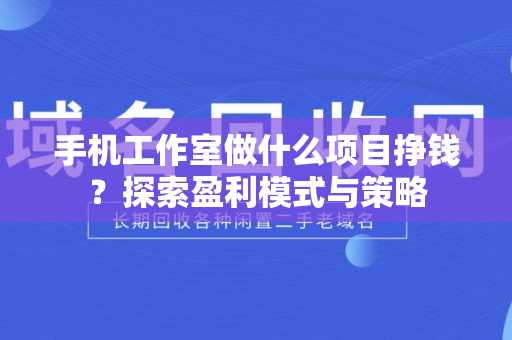 手机工作室做什么项目挣钱？探索盈利模式与策略