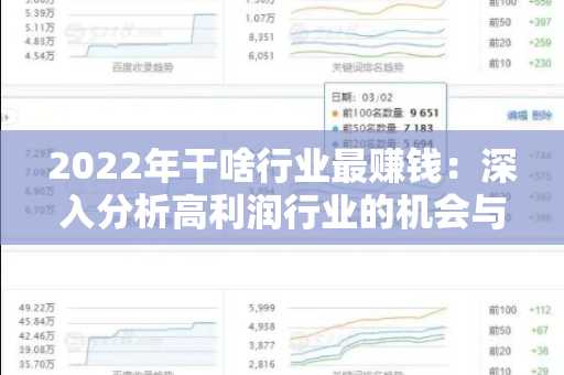 2022年干啥行业最赚钱：深入分析高利润行业的机会与挑战