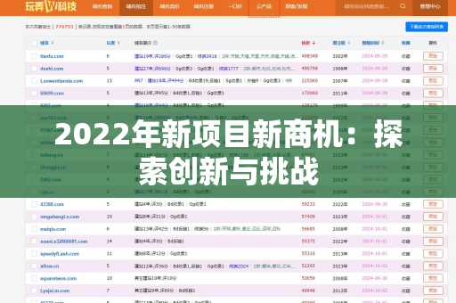 2022年新项目新商机：探索创新与挑战
