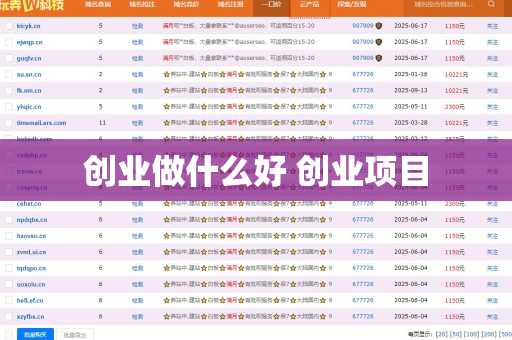 创业做什么好 创业项目