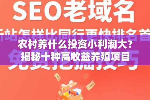 农村养什么投资小利润大？揭秘十种高收益养殖项目