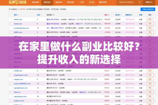 在家里做什么副业比较好？提升收入的新选择
