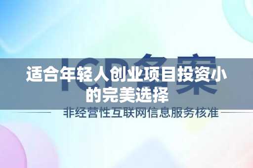 适合年轻人创业项目投资小的完美选择