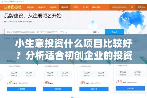 小生意投资什么项目比较好？分析适合初创企业的投资项目