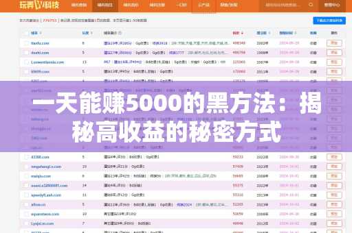 一天能赚5000的黑方法：揭秘高收益的秘密方式