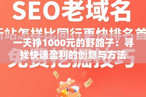 一天挣1000元的野路子：寻找快速盈利的创意与方法