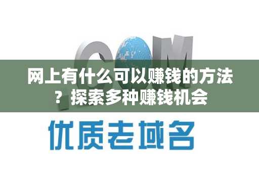 网上有什么可以赚钱的方法？探索多种赚钱机会