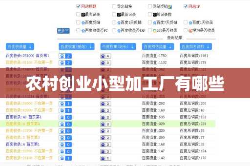 农村创业小型加工厂有哪些