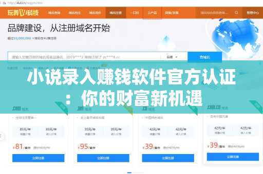 小说录入赚钱软件官方认证：你的财富新机遇