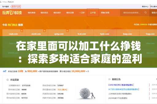 在家里面可以加工什么挣钱：探索多种适合家庭的盈利项目