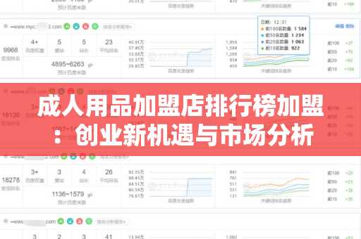 成人用品加盟店排行榜加盟：创业新机遇与市场分析