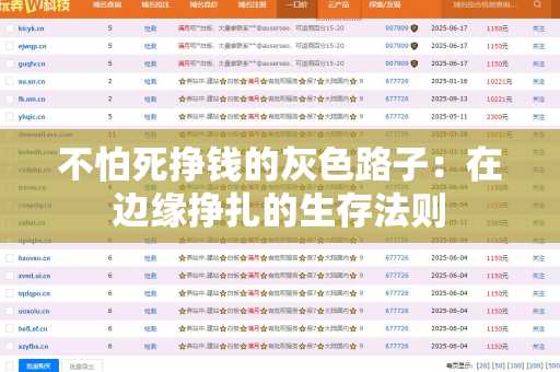 不怕死挣钱的灰色路子：在边缘挣扎的生存法则