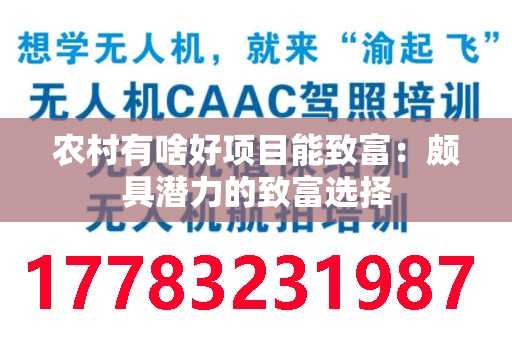 农村有啥好项目能致富：颇具潜力的致富选择
