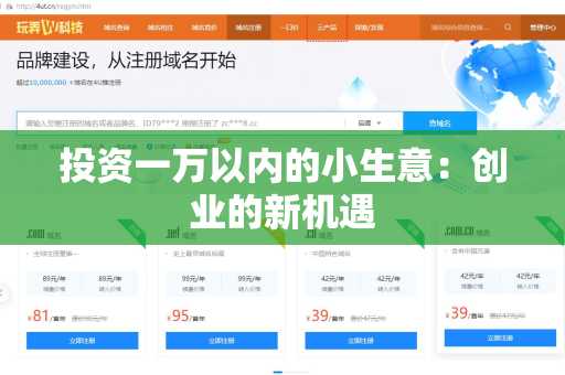 投资一万以内的小生意：创业的新机遇