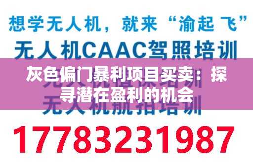 灰色偏门暴利项目买卖：探寻潜在盈利的机会