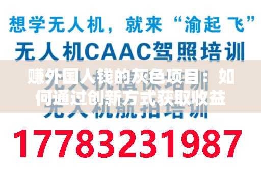 赚外国人钱的灰色项目：如何通过创新方式获取收益