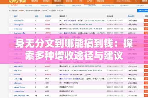 身无分文到哪能搞到钱：探索多种增收途径与建议