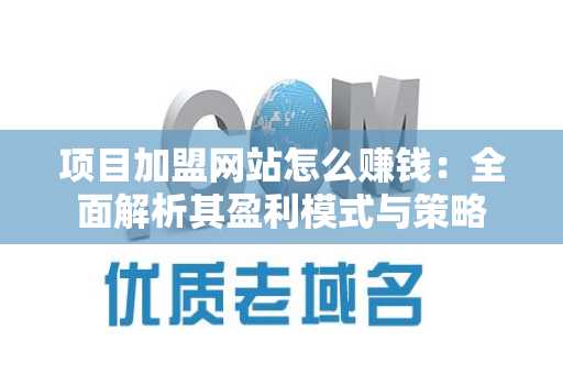 项目加盟网站怎么赚钱：全面解析其盈利模式与策略