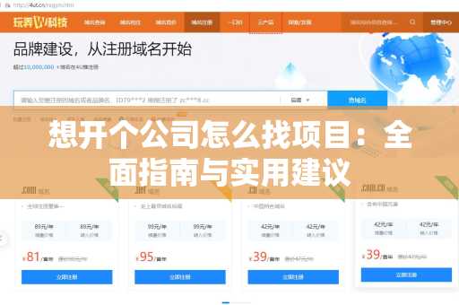 想开个公司怎么找项目：全面指南与实用建议