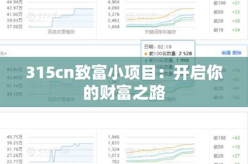 315cn致富小项目：开启你的财富之路