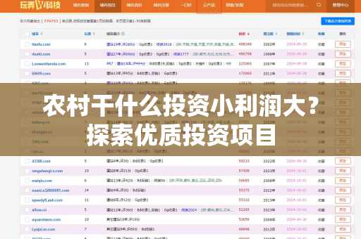 农村干什么投资小利润大？探索优质投资项目