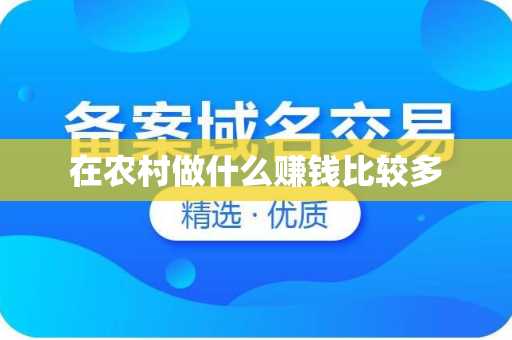 在农村做什么赚钱比较多