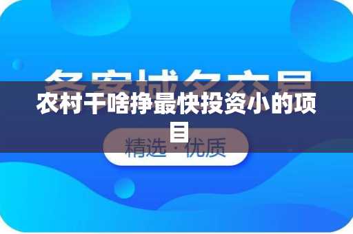 农村干啥挣最快投资小的项目