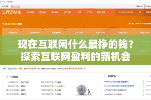 现在互联网什么最挣的钱？探索互联网盈利的新机会