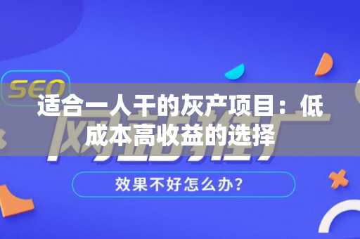 适合一人干的灰产项目：低成本高收益的选择