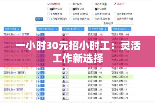 一小时30元招小时工：灵活工作新选择