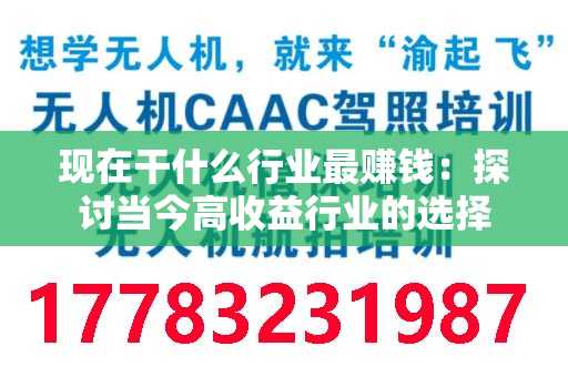 现在干什么行业最赚钱：探讨当今高收益行业的选择