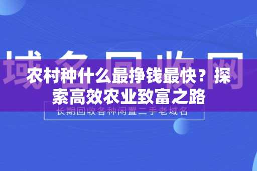 农村种什么最挣钱最快？探索高效农业致富之路