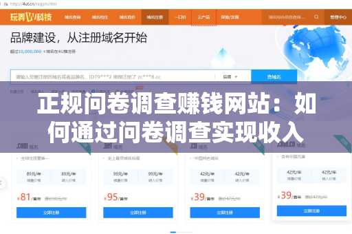 正规问卷调查赚钱网站：如何通过问卷调查实现收入