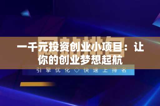 一千元投资创业小项目：让你的创业梦想起航