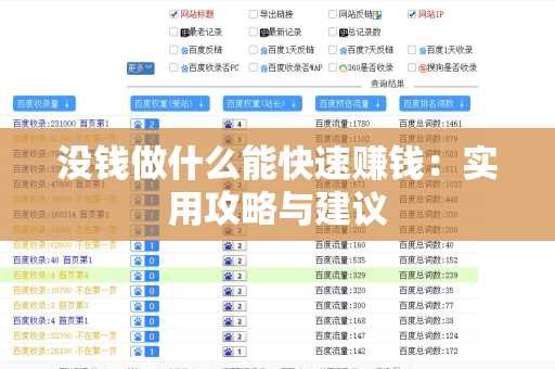 没钱做什么能快速赚钱：实用攻略与建议
